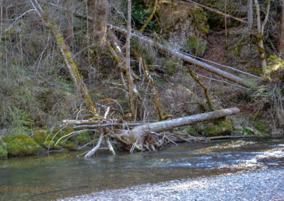 Eistobel bei Maierhöfen