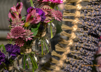 Schorndorf Remstalgartenschau 2019 Blumenschau Heilpflanzen