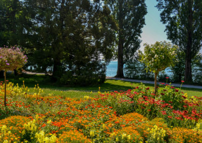 Insel Mainau
