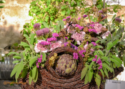 Schorndorf Remstalgartenschau 2019 Blumenschau Heilpflanzen