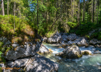 Im Zauberwald bei Ramsau 42 Zauberwald bei Ramsau