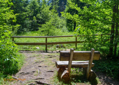 Im Zauberwald bei Ramsau 45 Zauberwald bei Ramsau
