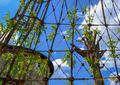 Schorndorf Remstalgartenschau 2019 Schlosspark