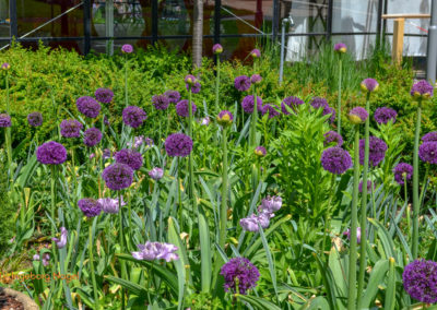 Schorndorf Remstalgartenschau 2019 Schlosspark