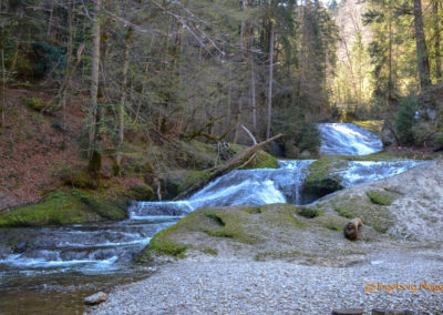 Eistobel bei Maierhöfen