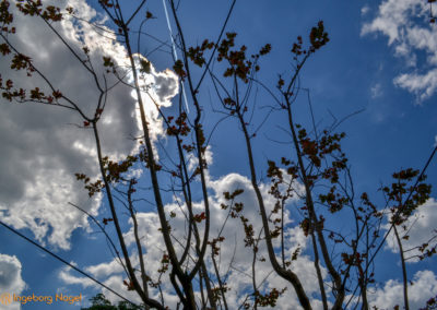 Schorndorf Remstalgartenschau 2019 Schlosspark