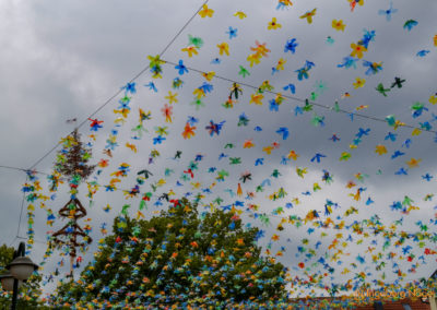 Mögglingen Remstalgartenschau Meraner Blütenhimmel