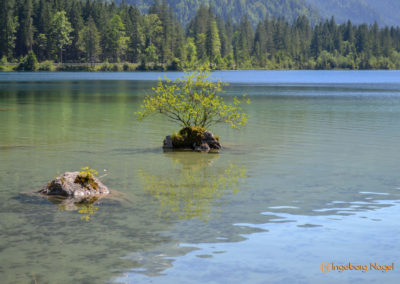 Der Hintersee bei Ramsau 4 Hintersee bei Ramsau