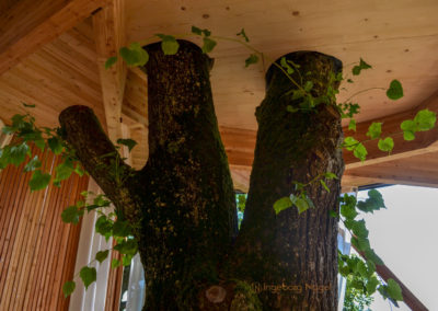 Lindenturm Schwäbisch Gmünd