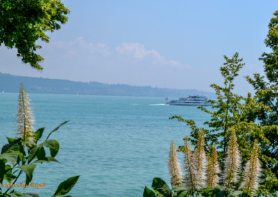 Insel Mainau