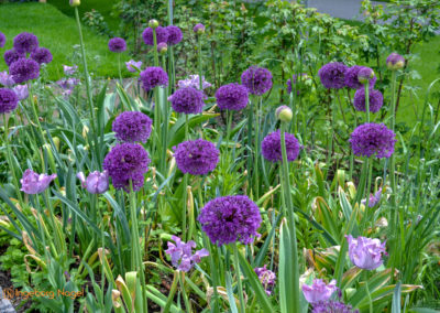 Schorndorf Remstalgartenschau 2019 Schlosspark