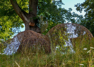 Die Grabenallee in Schwäbisch Gmünd 6 Grabenallee Schwäbisch Gmünd