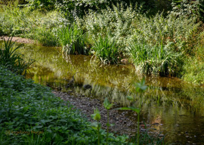 Die Grabenallee in Schwäbisch Gmünd 24 Grabenallee Schwäbisch Gmünd