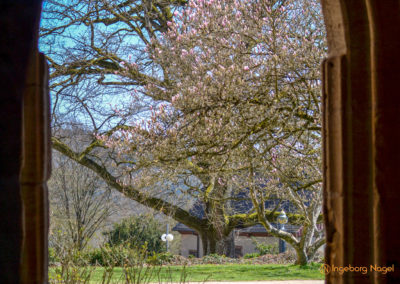 Kloster Lorch 40 Kloster Lorch