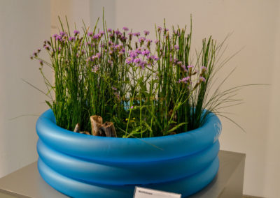 Blumenschau 'Ab nach draußen' Schwäbisch Gmünd - Remstalgartenschau 2019 2 Blumenschau 'Ab nach draußen' Remstalgartenschau 2019 Schwäb.Gmünd