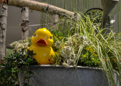 Blumenschau 'Ab nach draußen' Schwäbisch Gmünd - Remstalgartenschau 2019 10 Blumenschau 'Ab nach draußen' Remstalgartenschau 2019 Schwäb.Gmünd