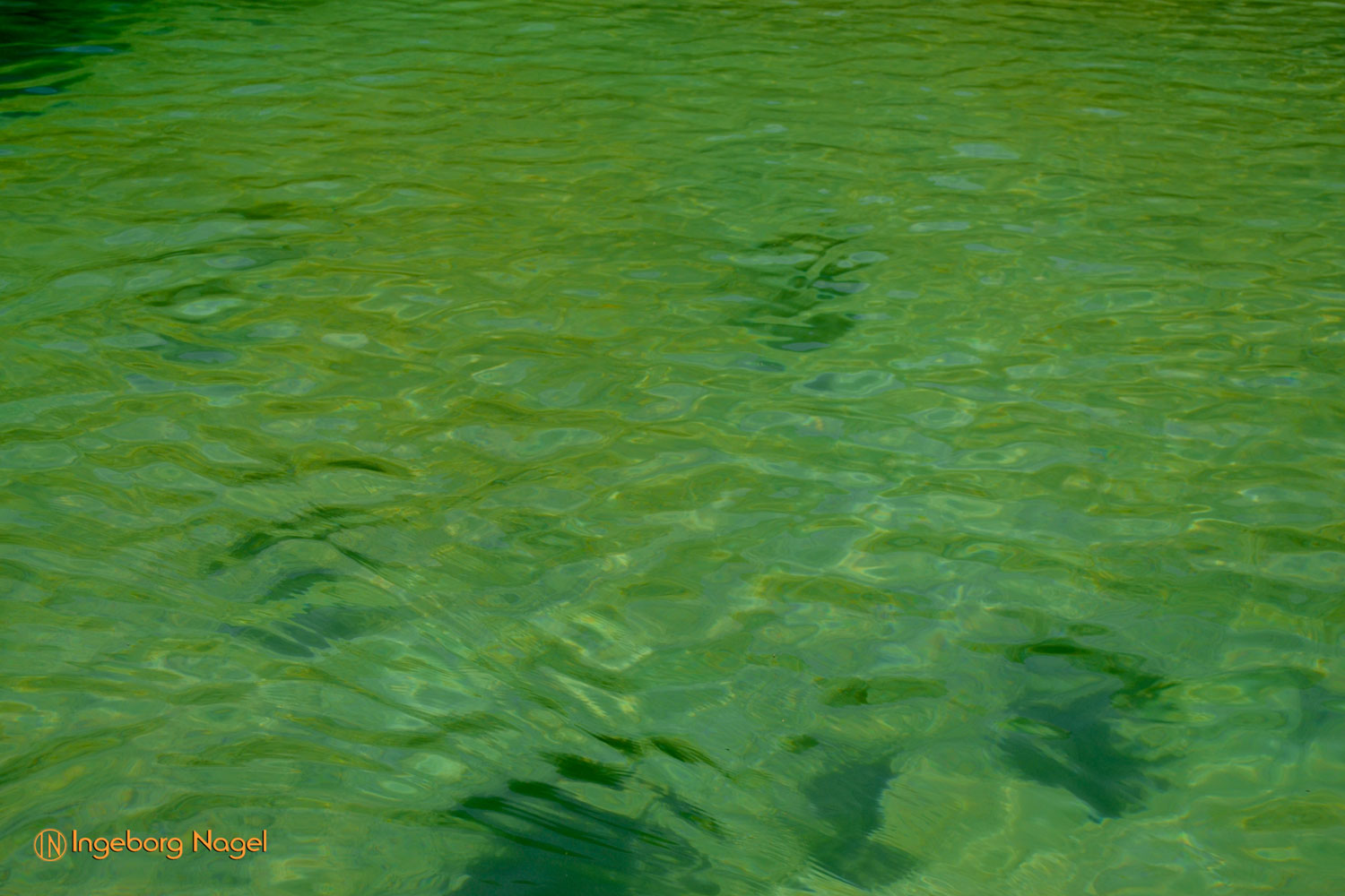 Der Hintersee bei Ramsau 19 Hintersee bei Ramsau