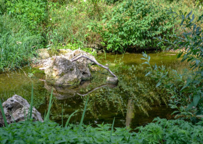 Die Grabenallee in Schwäbisch Gmünd 28 Grabenallee Schwäbisch Gmünd