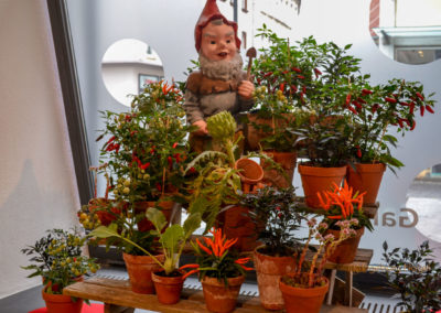 Blumenschau 'Ab nach draußen' Schwäbisch Gmünd - Remstalgartenschau 2019 16 Blumenschau 'Ab nach draußen' Remstalgartenschau 2019 Schwäb.Gmünd