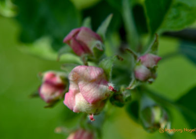 Mein Heimatort Waldstetten 6 Waldstetten Ostalbkreis