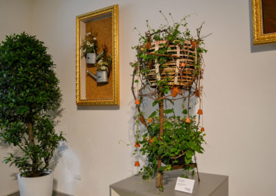 Blumenschau 'Ab nach draußen' Schwäbisch Gmünd - Remstalgartenschau 2019 21 Blumenschau 'Ab nach draußen' Remstalgartenschau 2019 Schwäb.Gmünd