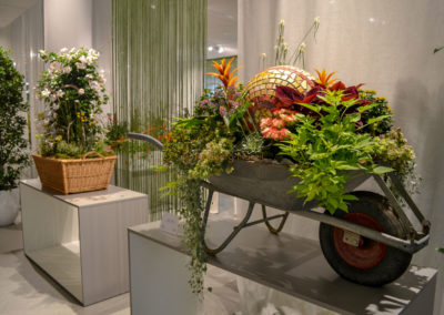 Blumenschau 'Ab nach draußen' Schwäbisch Gmünd - Remstalgartenschau 2019 22 Blumenschau 'Ab nach draußen' Remstalgartenschau 2019 Schwäb.Gmünd