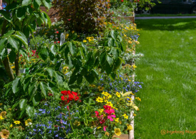 Schorndorf Remstalgartenschau 2019