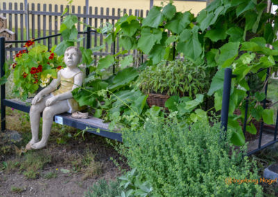 Mögglingen Remstalgartenschau Kräutergarten