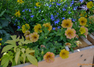 Schorndorf Remstalgartenschau 2019