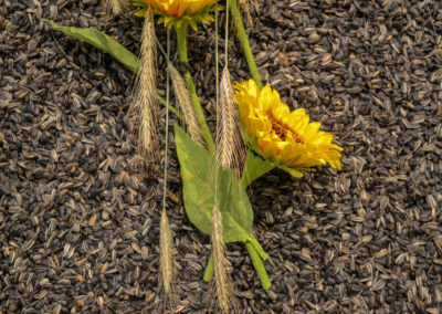 Blumenschau 'Ab nach draußen' Schwäbisch Gmünd - Remstalgartenschau 2019 25 Blumenschau 'Ab nach draußen' Remstalgartenschau 2019 Schwäb.Gmünd