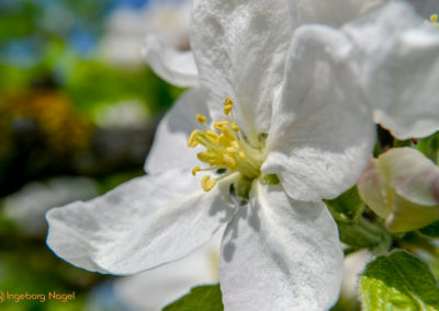 Mein Heimatort Waldstetten 7 Waldstetten Ostalbkreis