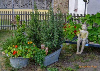 Mögglingen Remstalgartenschau Kräutergarten