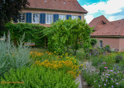 Mögglingen Remstalgartenschau Kräutergarten