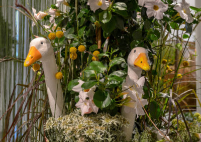 Blumenschau 'Ab nach draußen' Schwäbisch Gmünd - Remstalgartenschau 2019 27 Blumenschau 'Ab nach draußen' Remstalgartenschau 2019 Schwäb.Gmünd