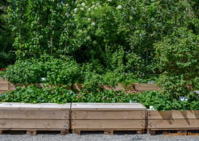 Schorndorf Remstalgartenschau 2019