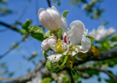 Mein Heimatort Waldstetten 8 Waldstetten Ostalbkreis