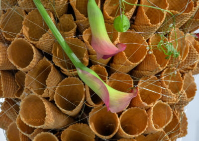 Blumenschau 'Ab nach draußen' Schwäbisch Gmünd - Remstalgartenschau 2019 31 Blumenschau 'Ab nach draußen' Remstalgartenschau 2019 Schwäb.Gmünd