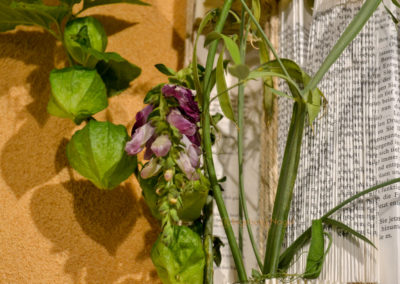 Blumenschau 'Ab nach draußen' Schwäbisch Gmünd - Remstalgartenschau 2019 33 Blumenschau 'Ab nach draußen' Remstalgartenschau 2019 Schwäb.Gmünd