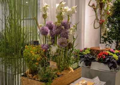 Blumenschau 'Ab nach draußen' Schwäbisch Gmünd - Remstalgartenschau 2019 36 Blumenschau 'Ab nach draußen' Remstalgartenschau 2019 Schwäb.Gmünd