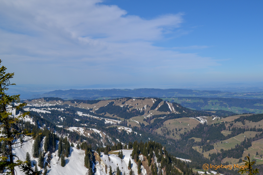 Auf dem Hochgrat 3 DSC 0528