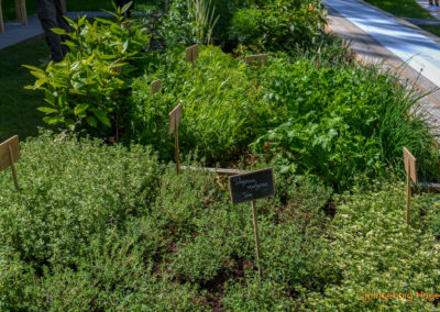 Schorndorf Remstalgartenschau 2019 Stadtpark