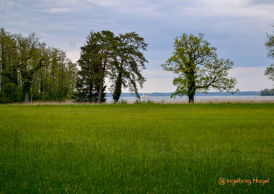Herrenchiemsee 15 Herrenchiemsee