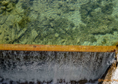 Im Zauberwald bei Ramsau 3 Hintersee Ramsau