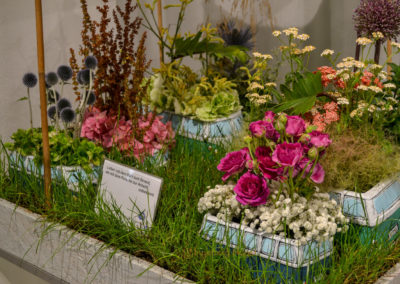 Blumenschau 'Ab nach draußen' Schwäbisch Gmünd - Remstalgartenschau 2019 41 Blumenschau 'Ab nach draußen' Remstalgartenschau 2019 Schwäb.Gmünd