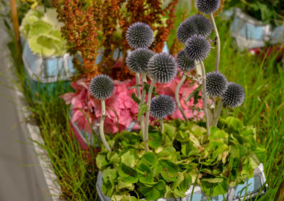 Blumenschau 'Ab nach draußen' Schwäbisch Gmünd - Remstalgartenschau 2019 42 Blumenschau 'Ab nach draußen' Remstalgartenschau 2019 Schwäb.Gmünd