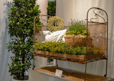 Blumenschau 'Ab nach draußen' Schwäbisch Gmünd - Remstalgartenschau 2019 44 Blumenschau 'Ab nach draußen' Remstalgartenschau 2019 Schwäb.Gmünd