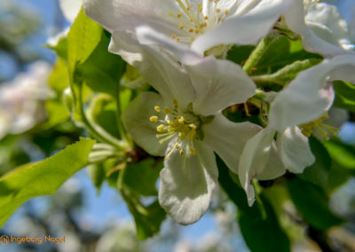 Mein Heimatort Waldstetten 9 Waldstetten Ostalbkreis