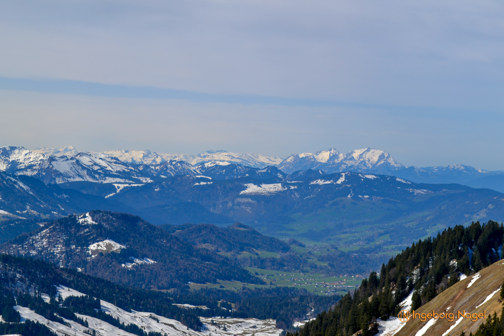 Auf dem Hochgrat 7 DSC 0545 2