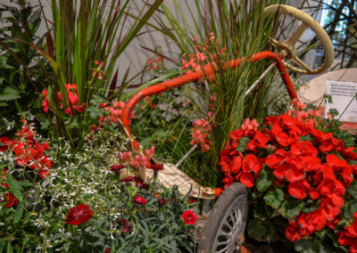 Blumenschau 'Ab nach draußen' Schwäbisch Gmünd - Remstalgartenschau 2019 47 Blumenschau 'Ab nach draußen' Remstalgartenschau 2019 Schwäb.Gmünd