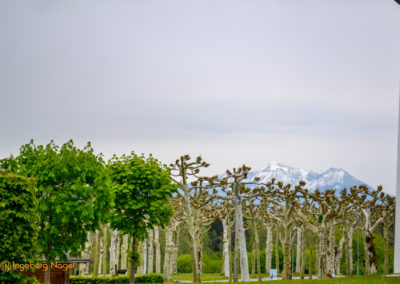 Herrenchiemsee 20 Herrenchiemsee